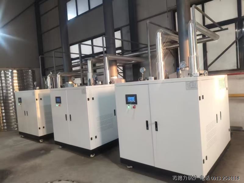 低氮燃气蒸汽发生器
